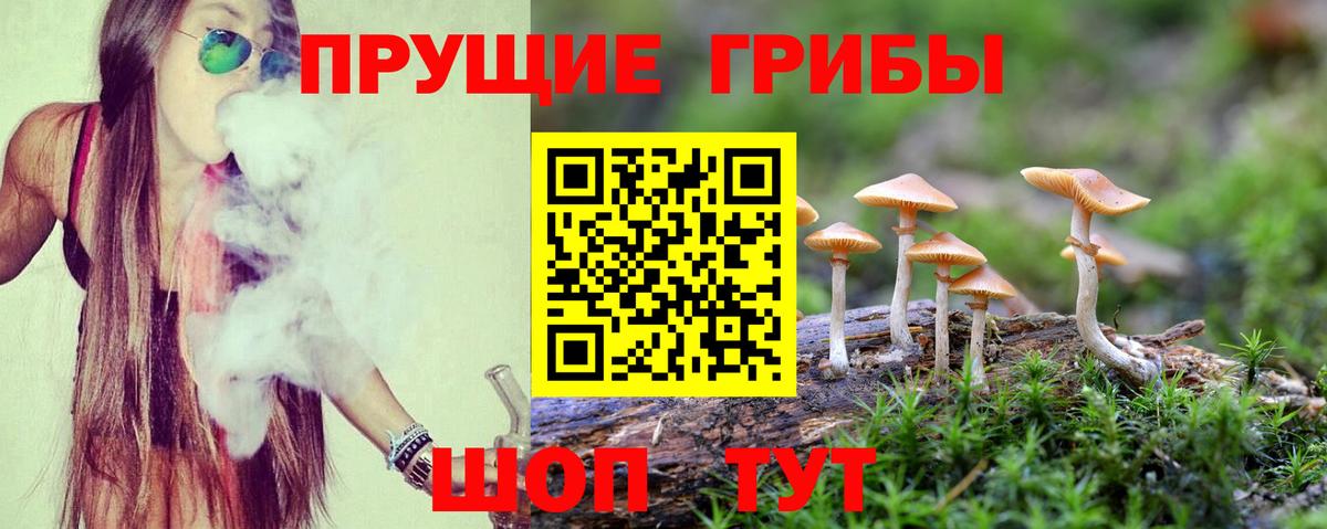 Галлюциногенные грибы мухоморы Армавир
