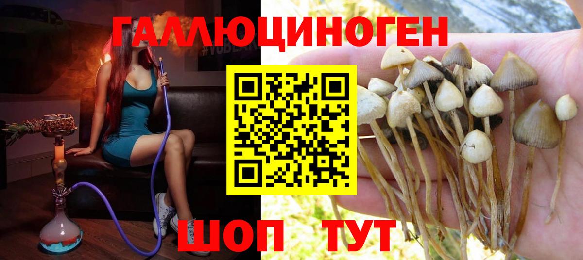 Псилоцибиновые грибы Magic Shrooms  как найти   Армавир  Вход с VPN 